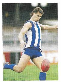 1991 Select AFL Stickers #181 Wayne Carey Front